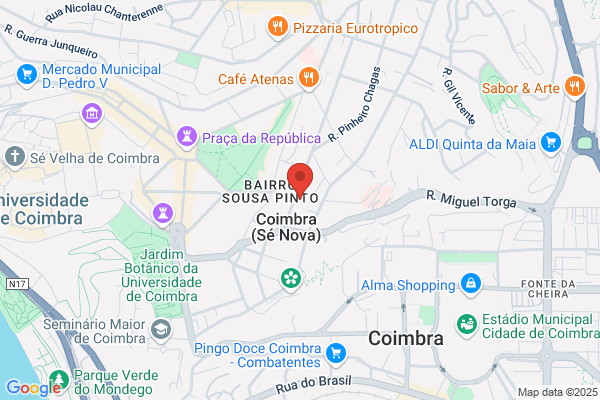 Duplo Network