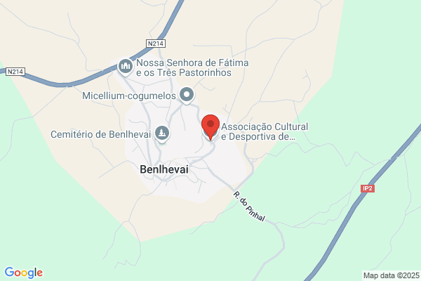 Associação Cultural E Desportiva De Beijós