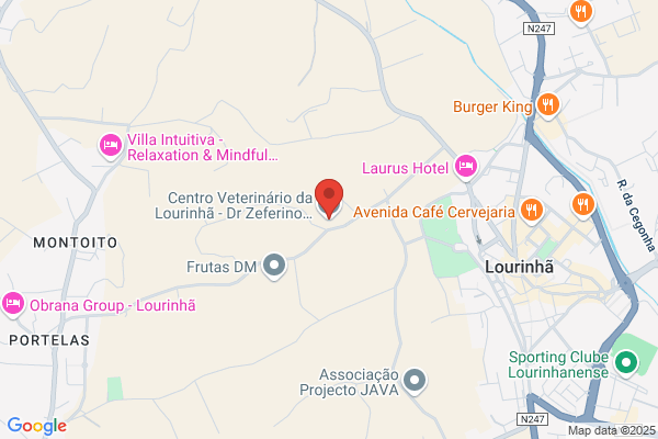 Clínica Veterinária Da Lourinhã Lda
