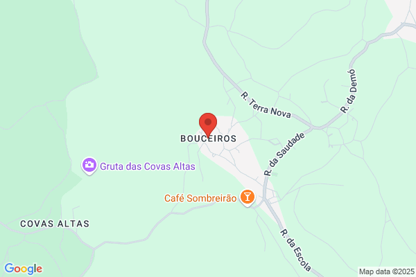 Maria P A Jesus Gomes
