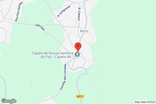 Rui J B Fernandes Cajeira