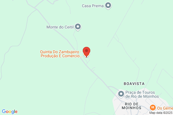 Quinta Zemio