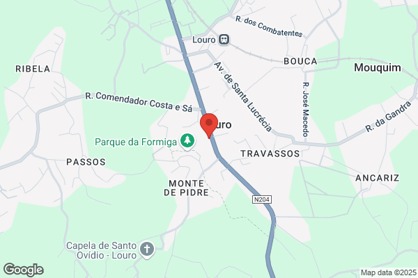 Acacio Louro Dos Santos