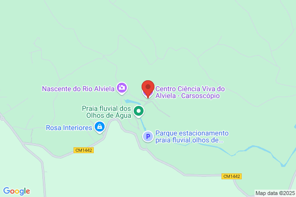 O Alviela