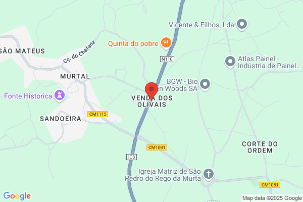 Adelino De Jesus Vieira