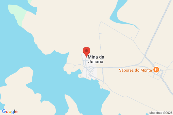 Ana P S Venãio Castro