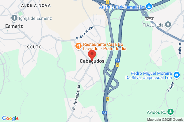 Adelino Sá Padrão