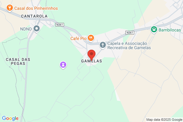 Dio Alves Gamela