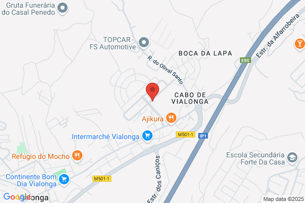 Vetlonga-Clínica Veterinária Lda