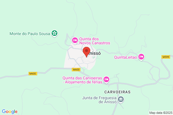 Adao Abelio Nunes Nogueira