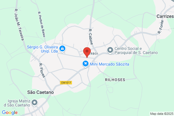 F Ribeiro Da Costa
