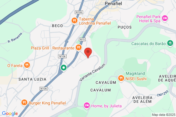Paula M A A Fonseca Carvalho