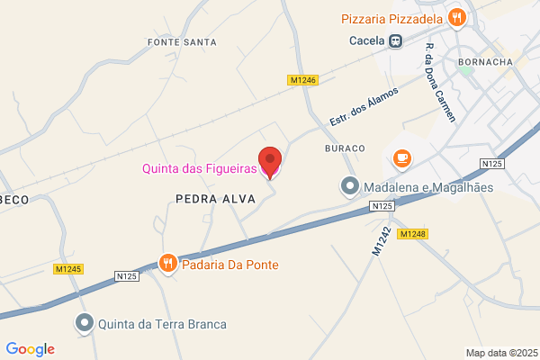 Quinta Do Figueiral Lda