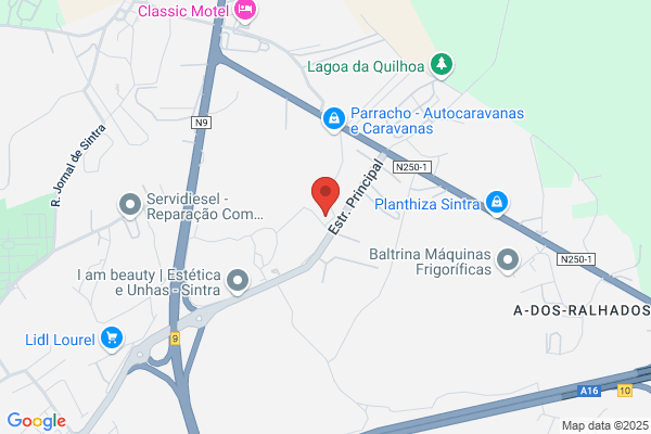 Bettor Mbt Portugal. Sa
