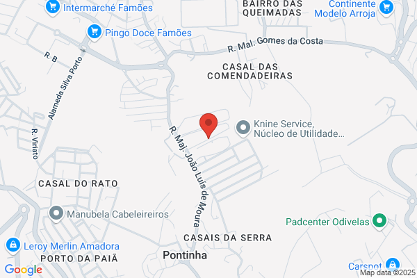 Delfim Carvalho Nunes