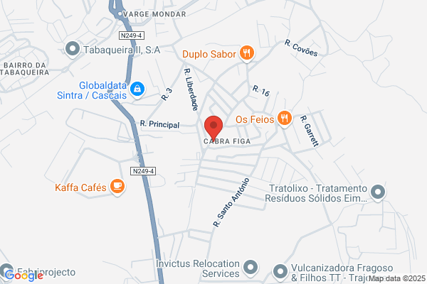 Delmira R Rodrigues Carvalho