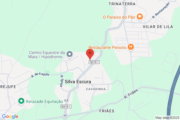 Empresa De Transportes Manuel Henriques Machado Lda