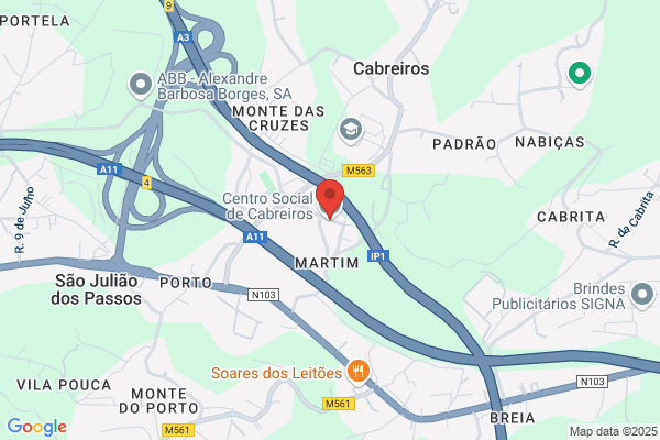 Palmira I Ribeiro Maia