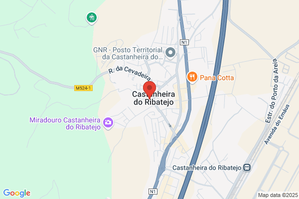 João F Santos Penas