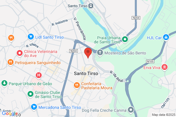Raimundo Ribeiro Silva