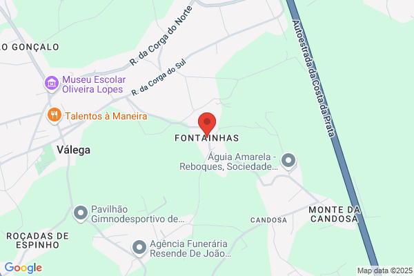 Liliana C Rodrigues Viegas