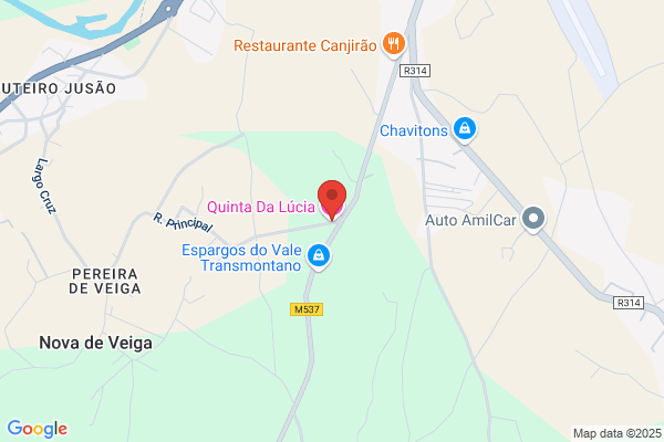Lucia M Paiva Correia