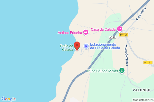 Glória Ferreira-Advogada