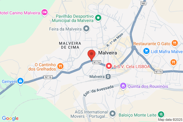 P Z-Sociedade Imobiliaria. Lda