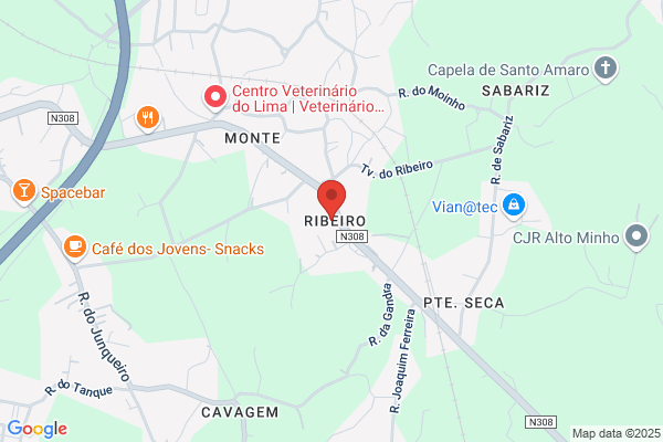 J Ribeiro De Oliveira