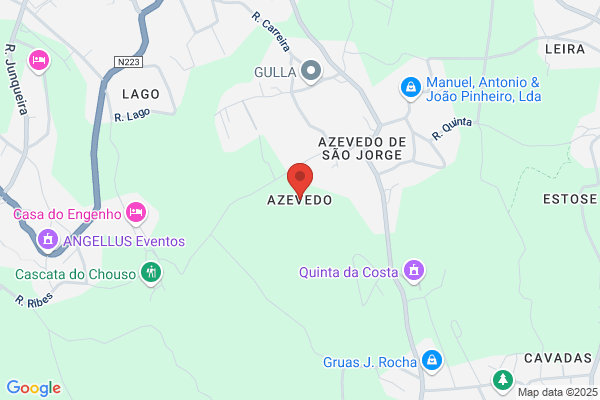 J Alves De Pinho