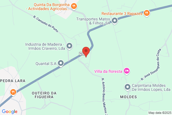 Cidade Fresca-Comércio De Carnes Lda
