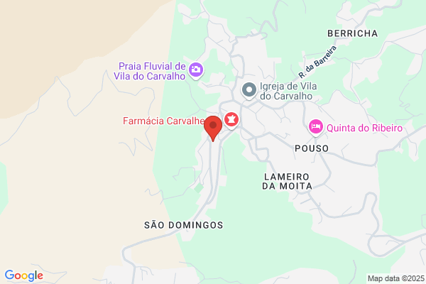 Lia M Pereira Duarte