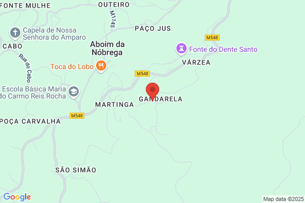 Carlos Mario Ferreira De Silva Bastos