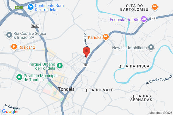 Clínica Veterinária Vetdinha Lda