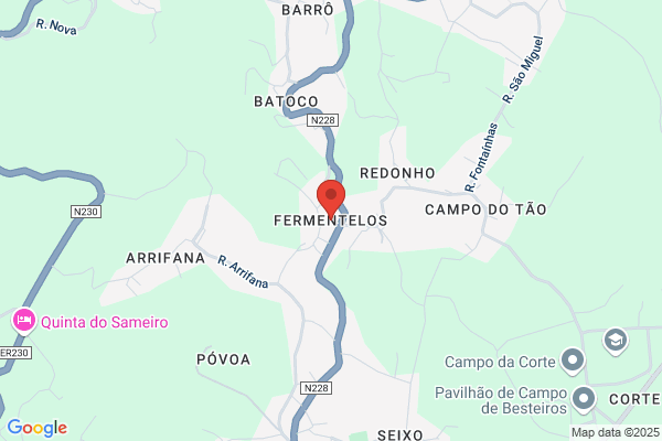 Leonia C Turigo Lemos