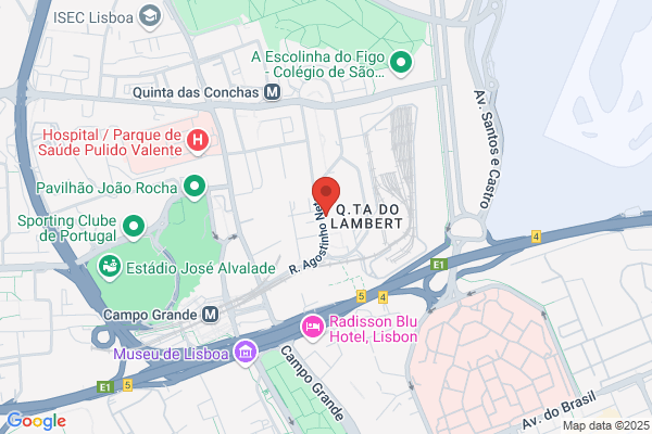 Paula C C Alves Pereira