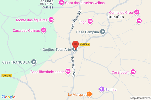 Cavaco Anabela C G M Cavaco