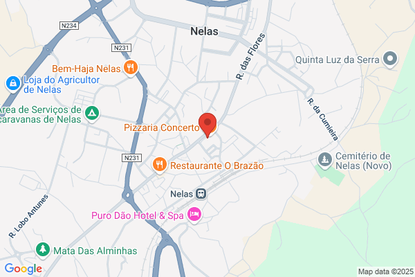 Fr-Técnicos Oficiais De Contas Lda