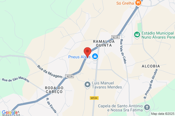 Paula C S Ramos Abrantes