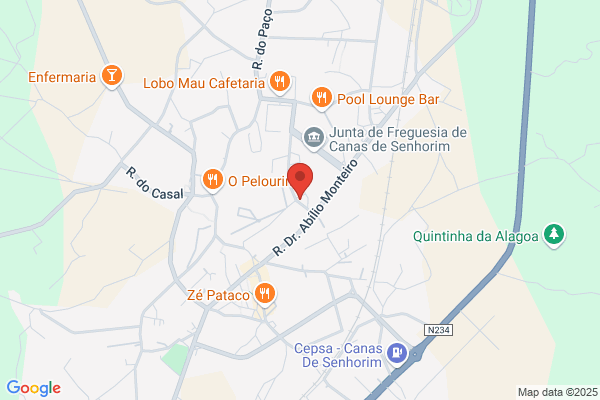 Rui P M Pinto Nunes