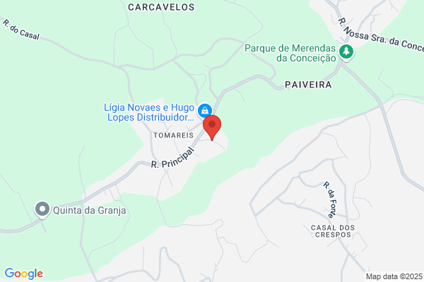 Carlos Manuel Dos Prazeres Vieira