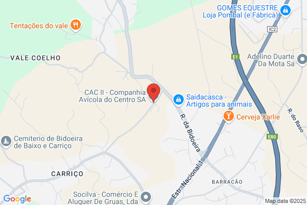 Cac Ii-Companhia Avícola Do Centro Sa