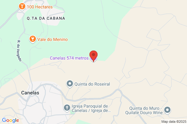 Celso F P Guedes Pereira