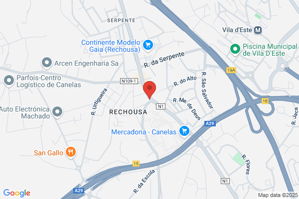 Maria D P Costa Andrade