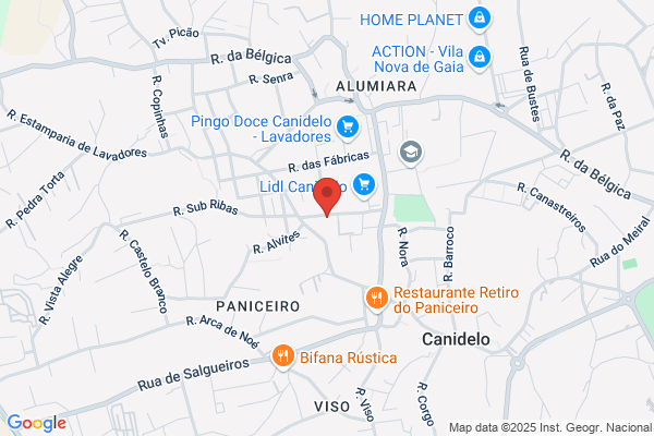 Alcina M B Sequeira Campos