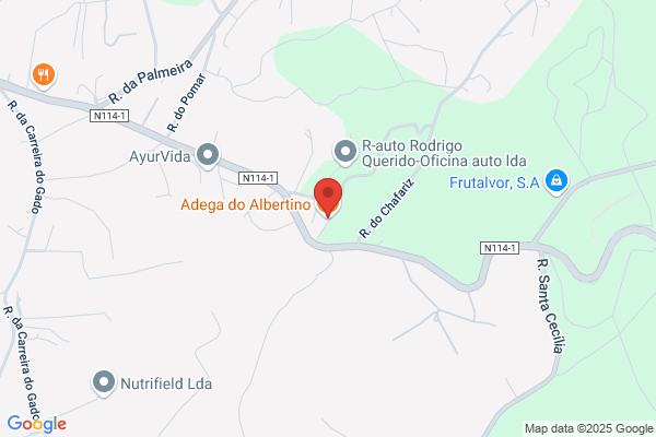 Albertina Caldas