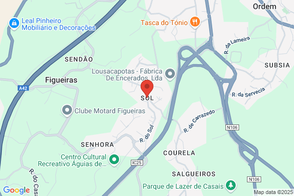 Isaura I Gomes Nogueira