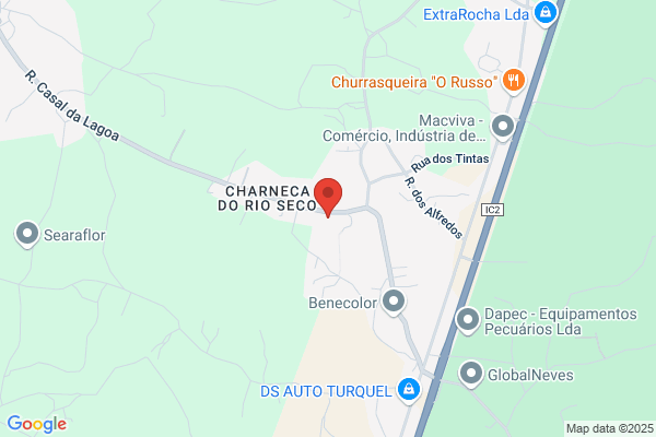 Sairfcar-Sociedade Comercial De Pes E Acessos Auto lda