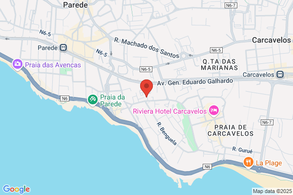 Deolinda C Reis Carvalho