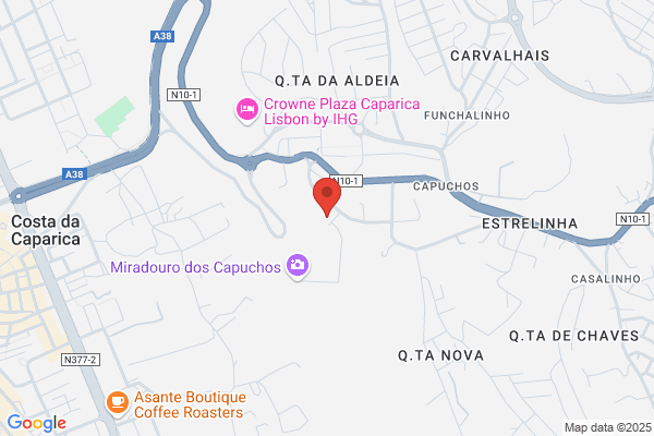 Adelino J Gonçalves Teixeira